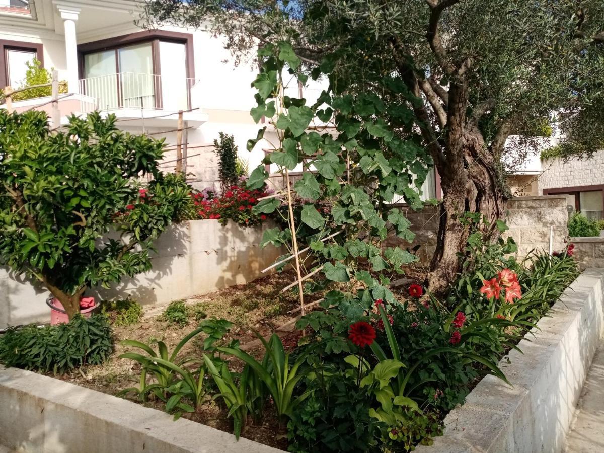 Apartmani Bosco ติวัต ภายนอก รูปภาพ