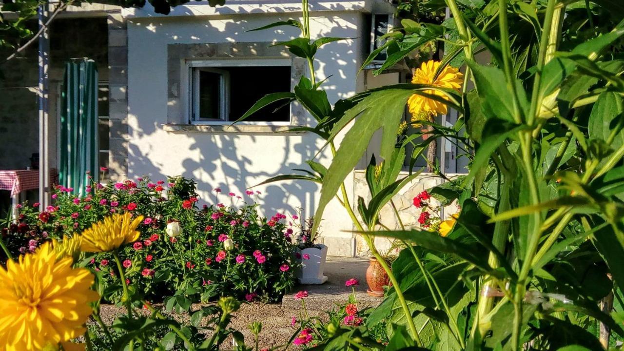 Apartmani Bosco ติวัต ภายนอก รูปภาพ