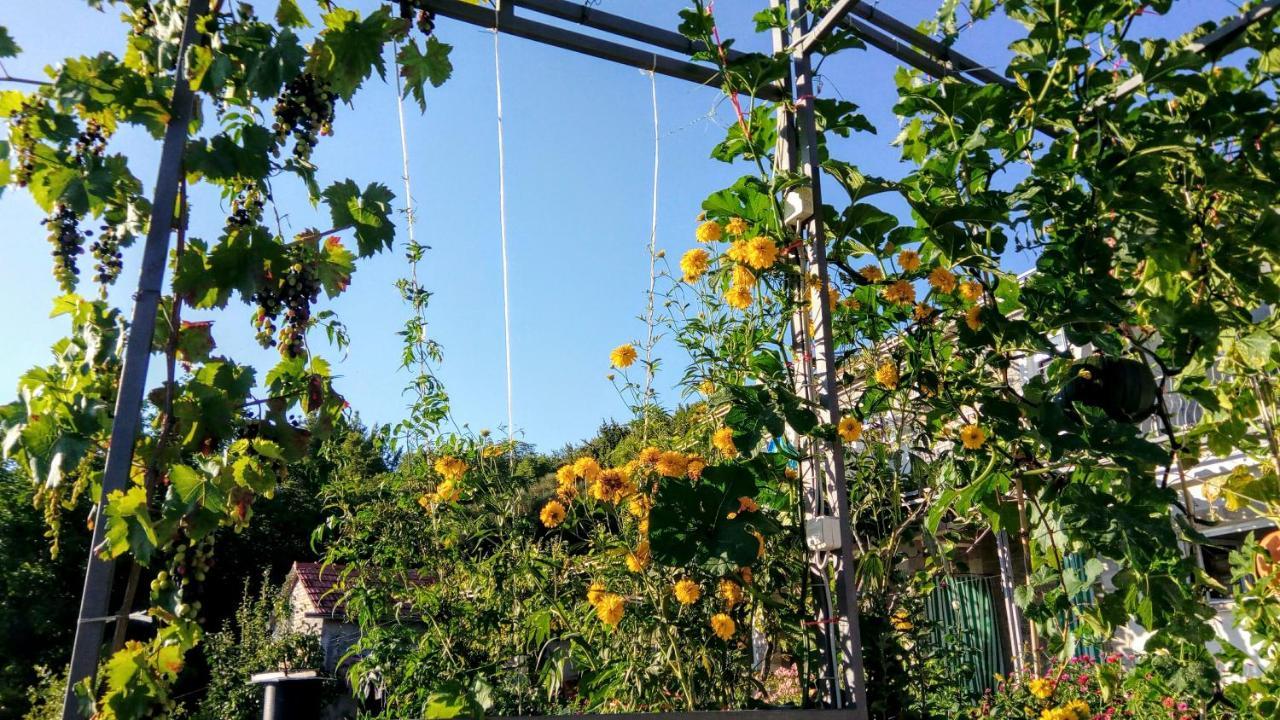 Apartmani Bosco ติวัต ภายนอก รูปภาพ