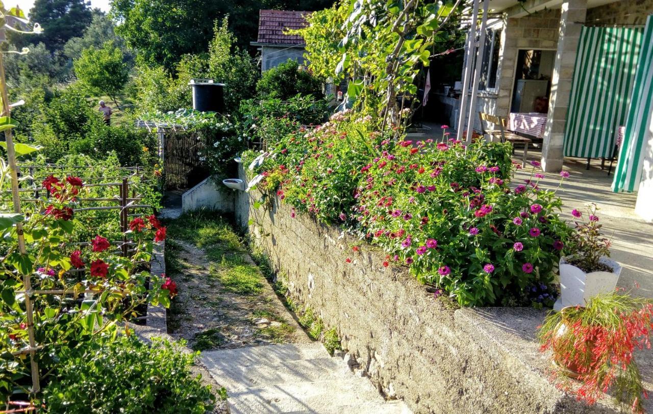 Apartmani Bosco ติวัต ภายนอก รูปภาพ